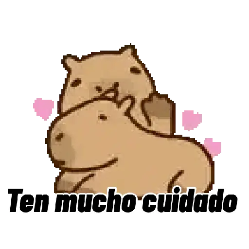 Capibara 🌟🤎