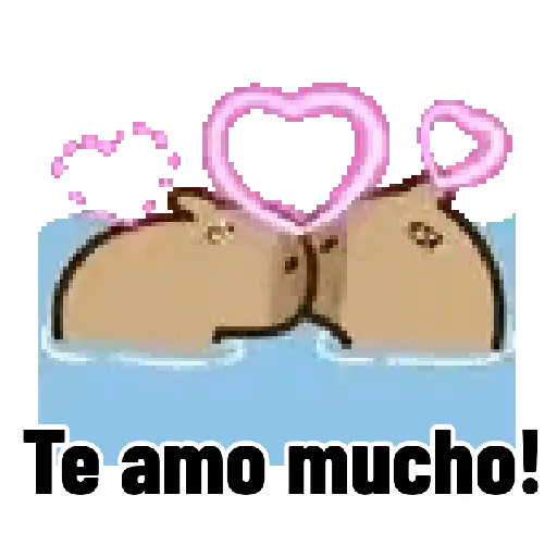 Capibara 🌟🤎