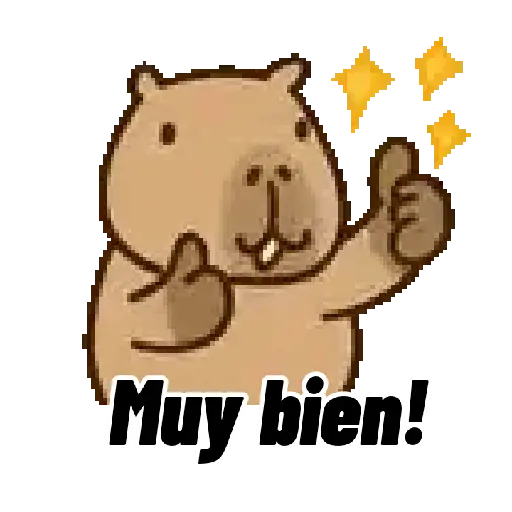 Capibara 🌟🤎