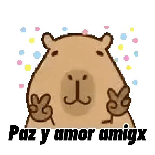 Capibara 🌟🤎