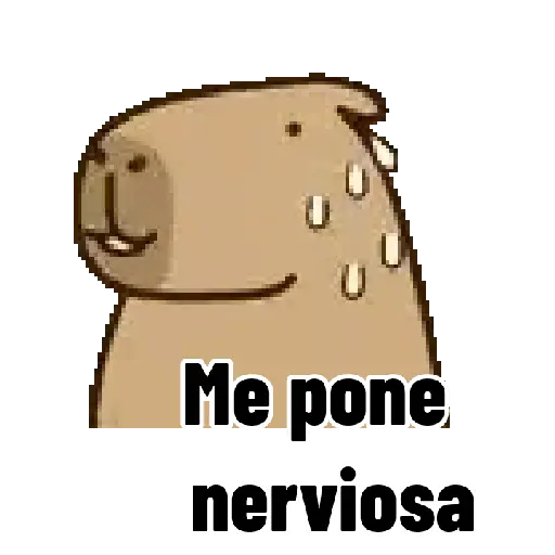 Capibara 🌟🤎