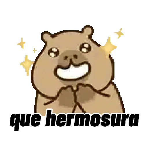 Capibara 🌟🤎