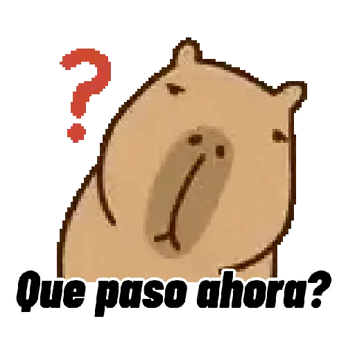 Capibara 🌟🤎