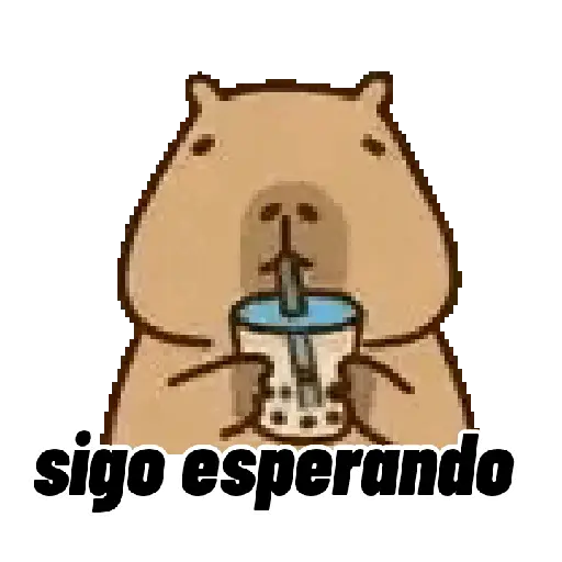 Capibara 🌟🤎