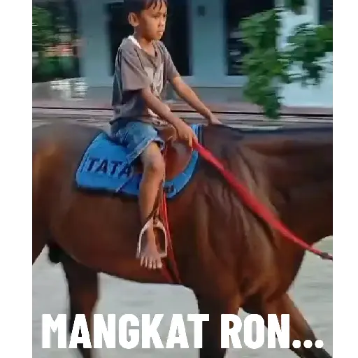 Stiker Saya preview
