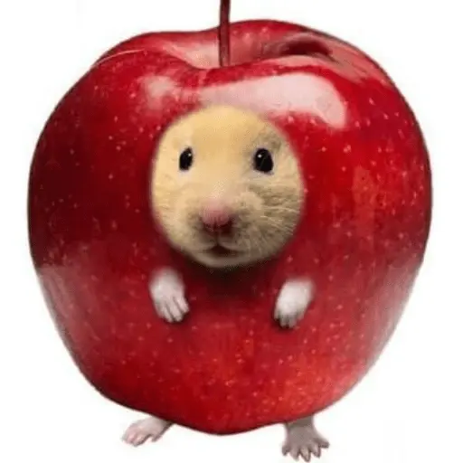 Manzana||MEME 🍎