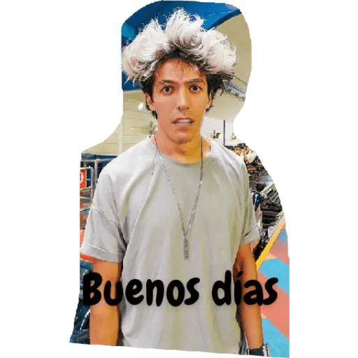 los polinesios