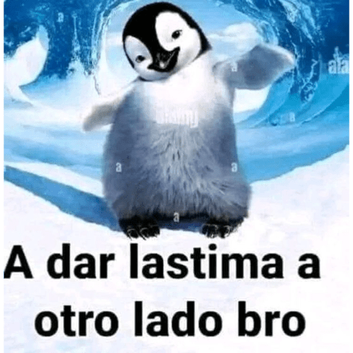 Memes - Lastima 🤫 preview