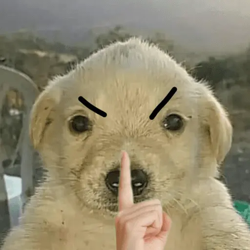 Memes - Lastima 🤫