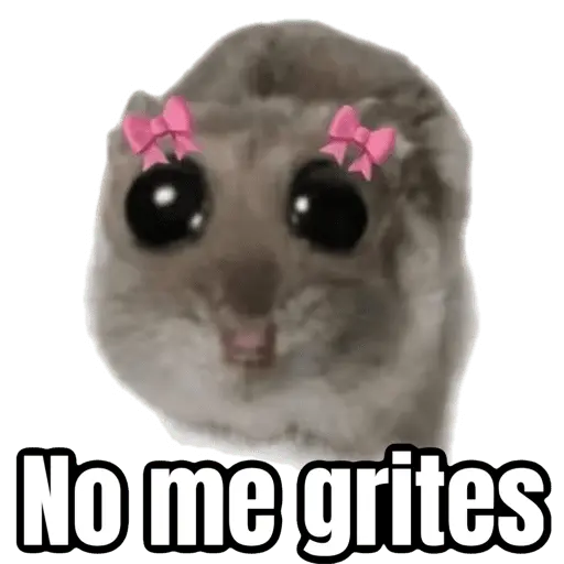 🤣 Memes pa la banda #3 