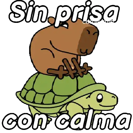 Capibara animado 🦫🗨️📱