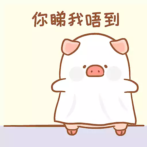 罐頭豬LULU - LuLuLand 繽紛樂園系列