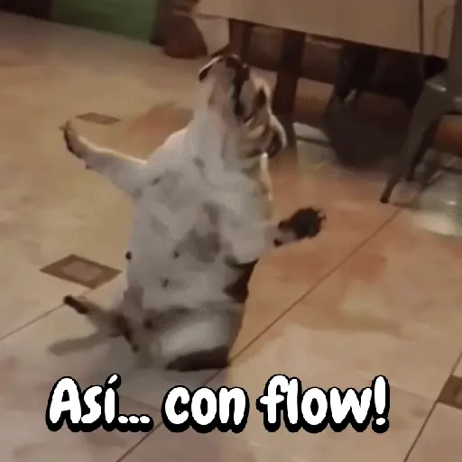 Perros y gatos divertidos🐾🐾🐾 preview