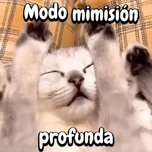 Perros y gatos divertidos🐾🐾🐾 preview