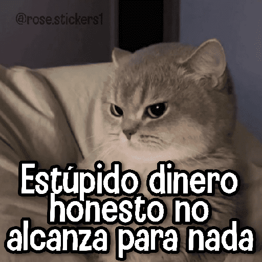 Memes Finos😎🪄 preview