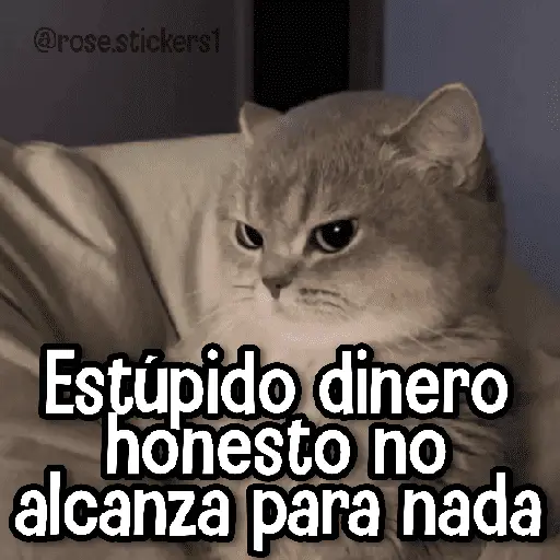 Memes Finos😎🪄