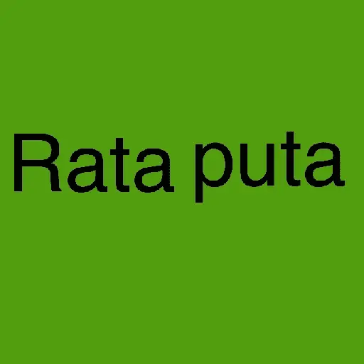 Ya levántate 🌄✨😎