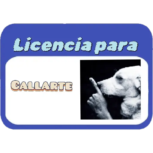 Licencia 📝💥