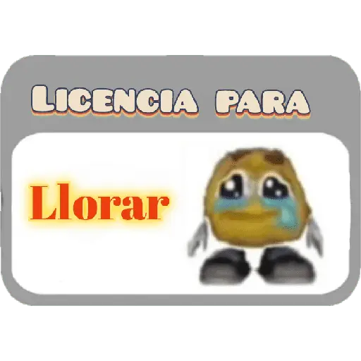 Licencia 📝💥