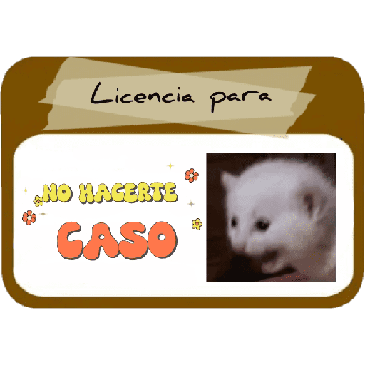 Licencia 📝💥 preview