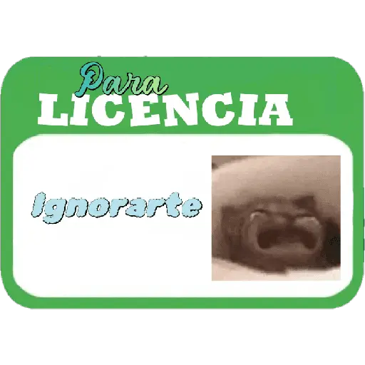 Licencia 📝💥