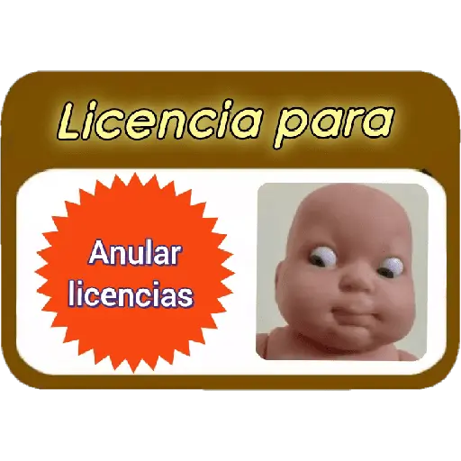 Licencia 📝💥