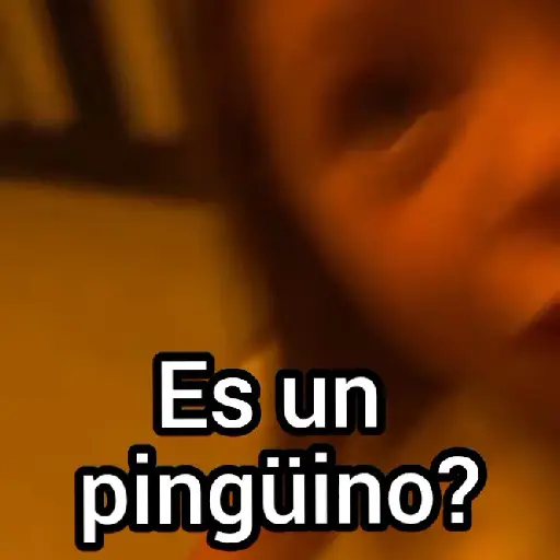 Es un pingüino 🐧niña 👧🏻🔥
