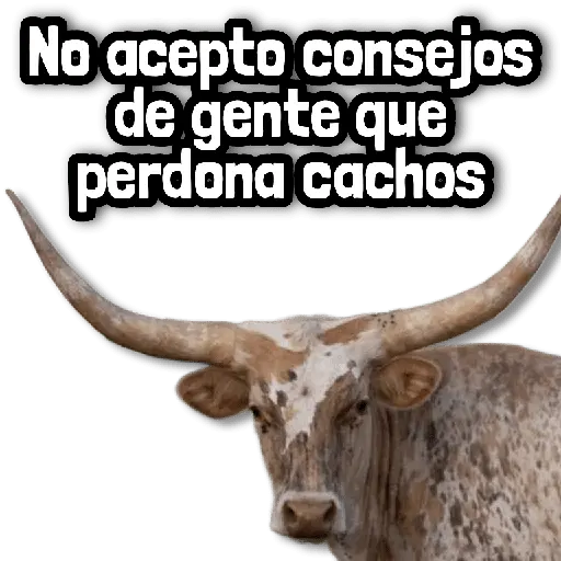 Stickers sin Filtro #➊➐ 💦