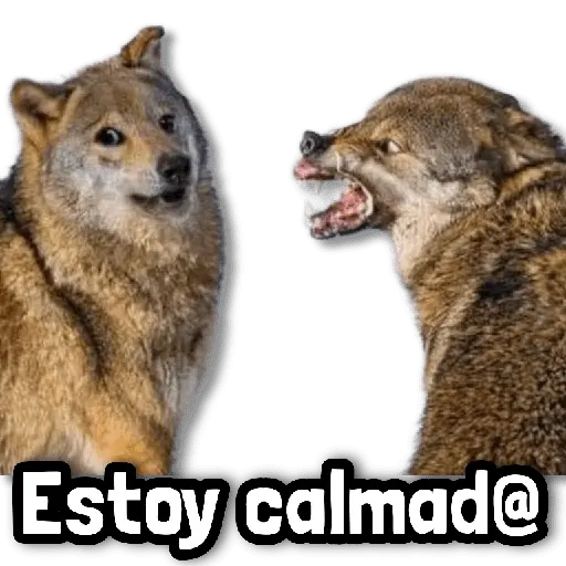 Stickers sin Filtro #➊➐ 💦