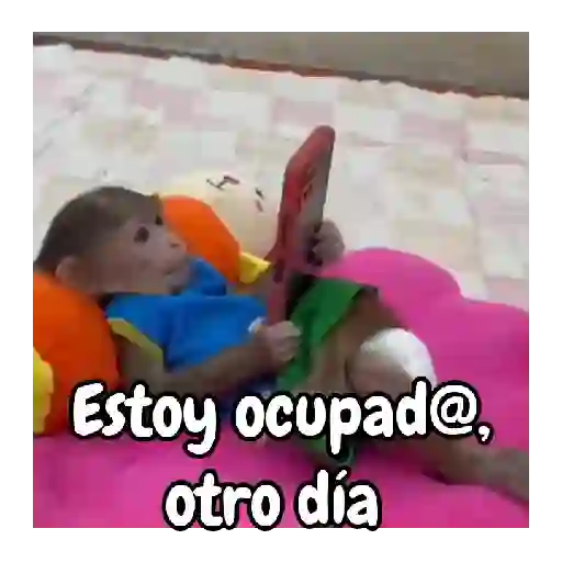Monos traviesos 🙈💯