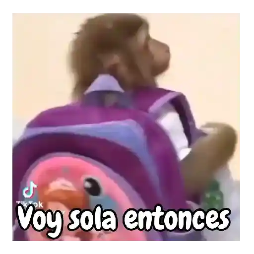 Monos traviesos 🙈💯