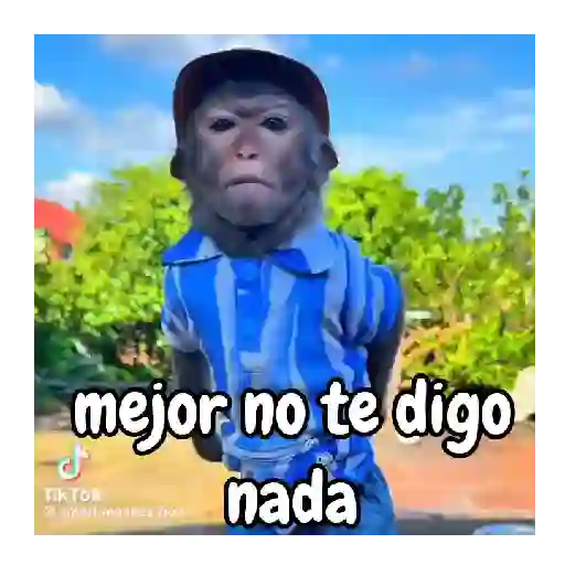 Monos traviesos 🙈💯