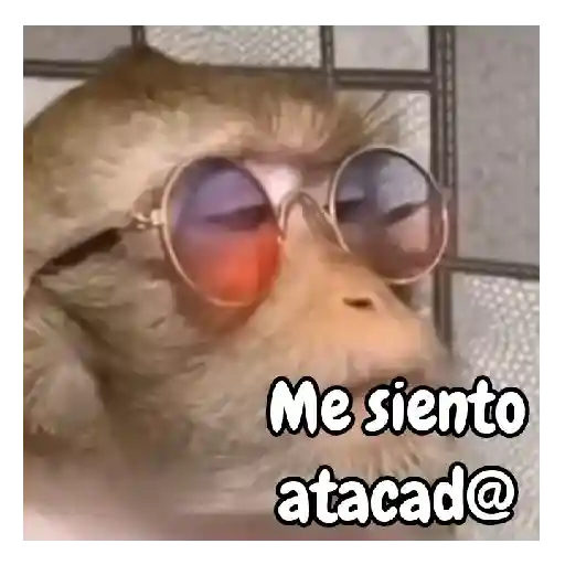 Monos traviesos 🙈💯 preview
