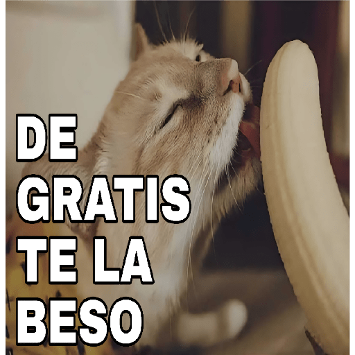 🔥𑄝GATOS HORNY/HORNY CATS𑄝🔥 preview