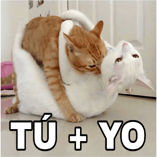 🔥𑄝GATOS HORNY/HORNY CATS𑄝🔥 preview