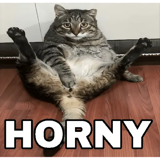 🔥𑄝GATOS HORNY/HORNY CATS𑄝🔥