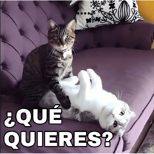 🔥𑄝GATOS HORNY/HORNY CATS𑄝🔥 preview
