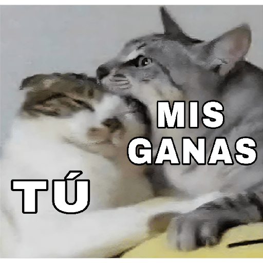 🔥𑄝GATOS HORNY/HORNY CATS𑄝🔥 preview