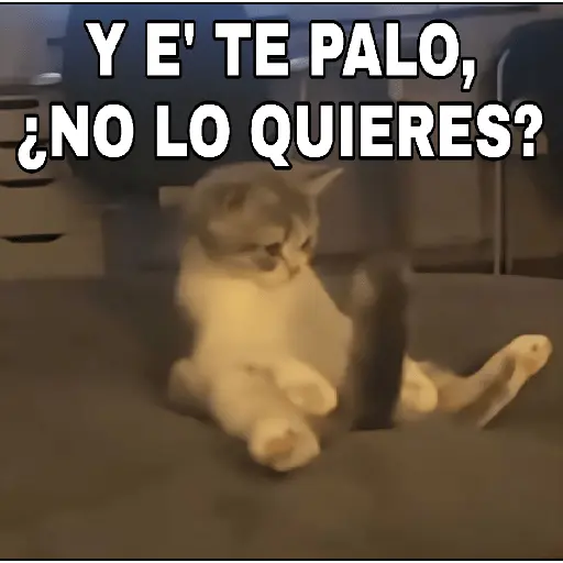 🔥𑄝GATOS HORNY/HORNY CATS𑄝🔥