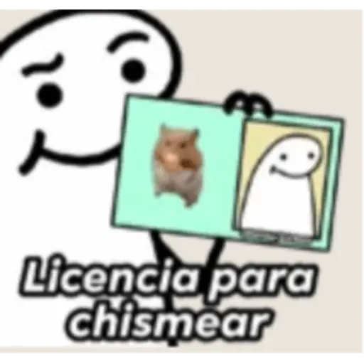 Flork licencia 