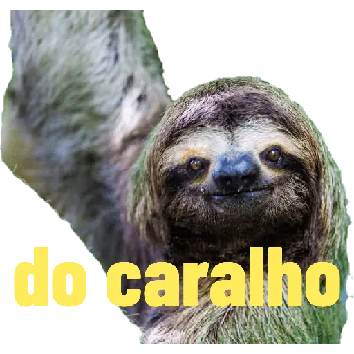 Marcus