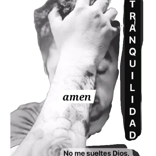 Perros