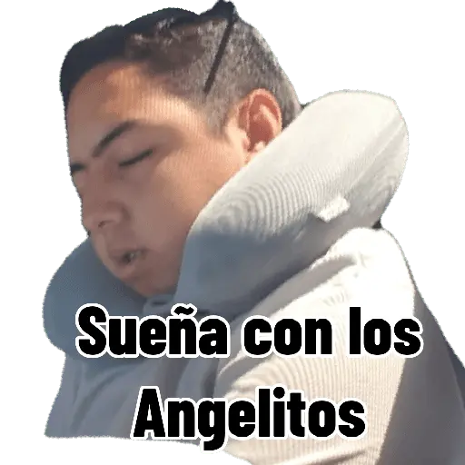 Perros