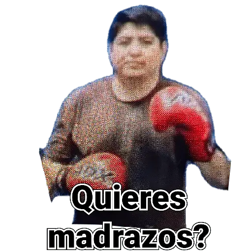 Perros