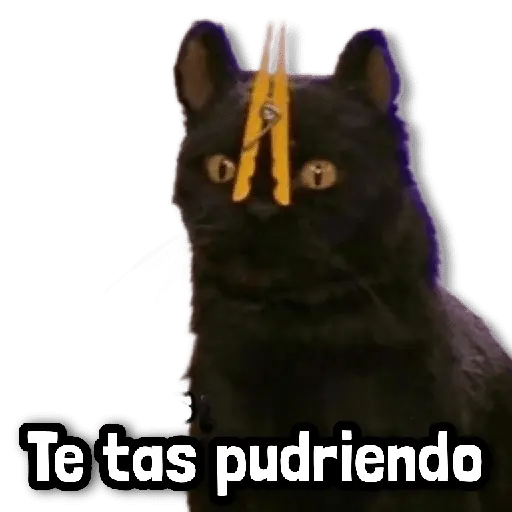 💢 Stickers sin Filtro #➊➍