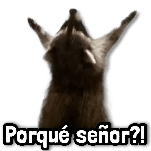 💢 Stickers sin Filtro #➊➍