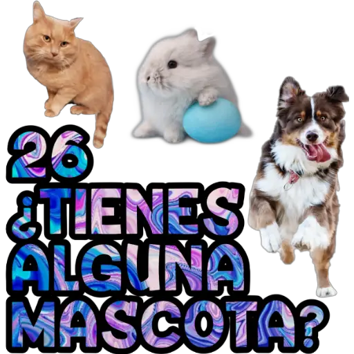 JUEGO DE CUARENTENA 🎰 