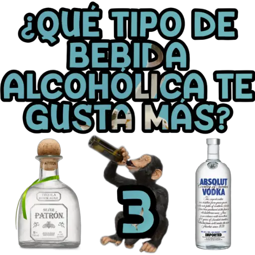 JUEGO DE CUARENTENA 🎰 