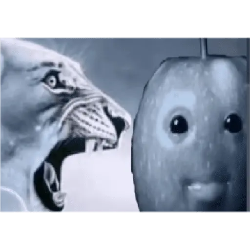 manzana