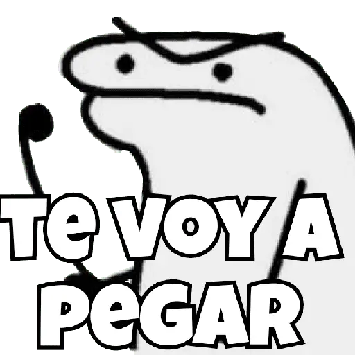 🌈🤍✨️Flork Pal Whatsapp✨️🤍🌈